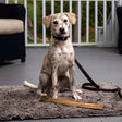 Dirty Dog Mikrofaser Kissen