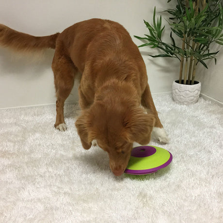 Dog Treat Maze Futterkreisel – Small Ø18 cm
