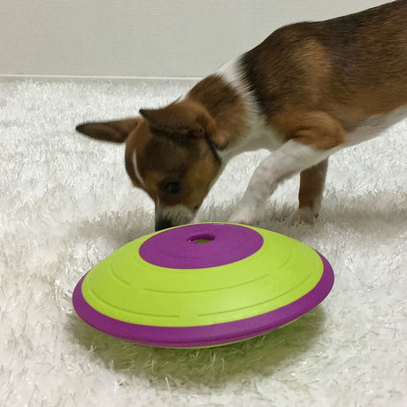 Dog Treat Maze Futterkreisel – Small Ø18 cm