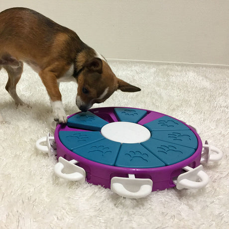 Dog Twister Plastik