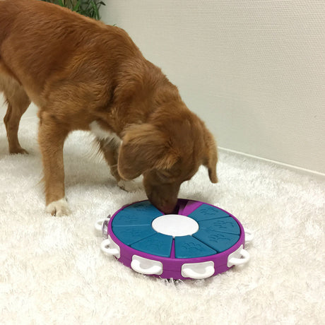 Dog Twister Plastik