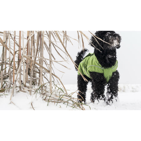DogBite Hunde Ganzjahres Regenjacke Matt