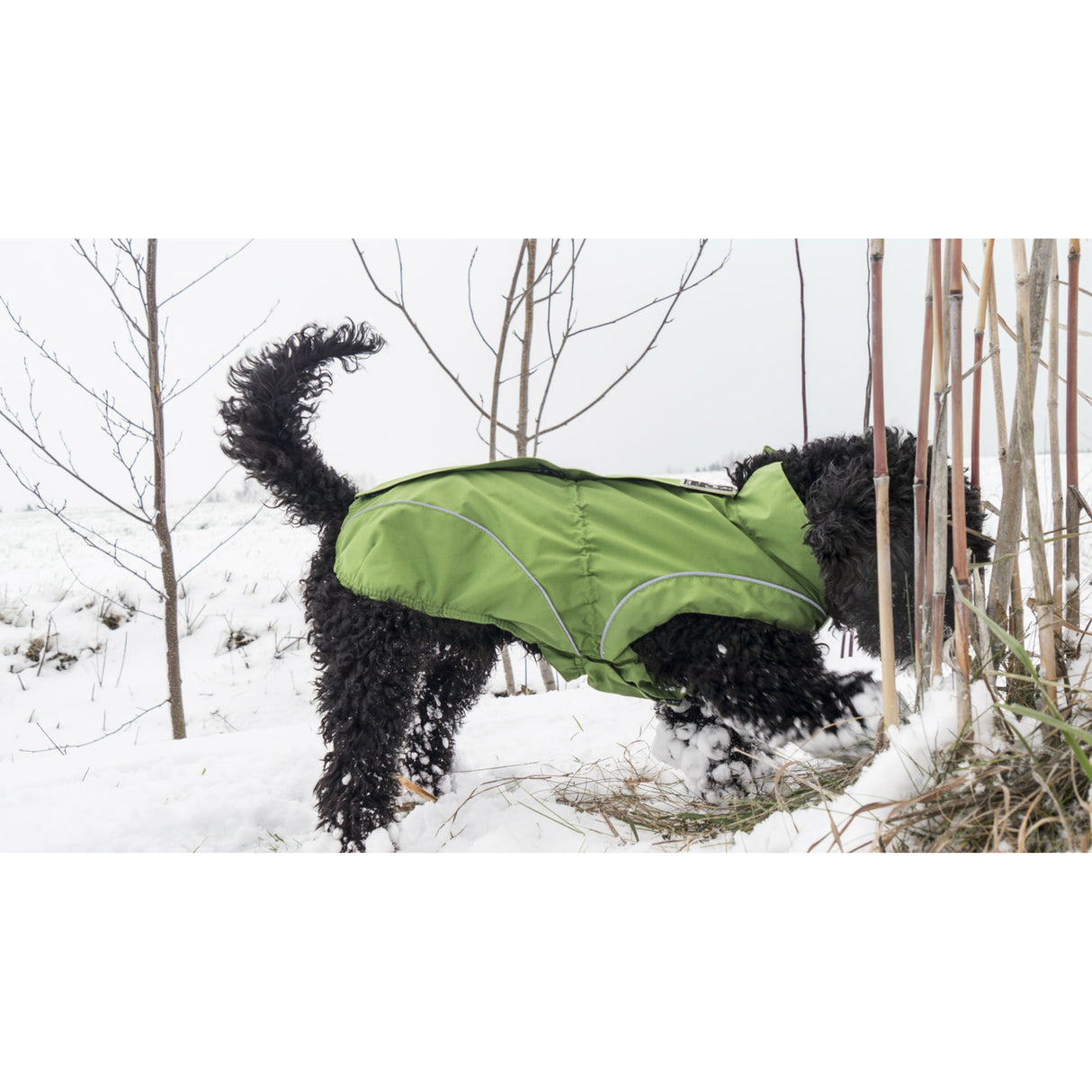 DogBite Hunde Ganzjahres Regenjacke Matt