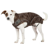 DogBite Hunde Regenjacke