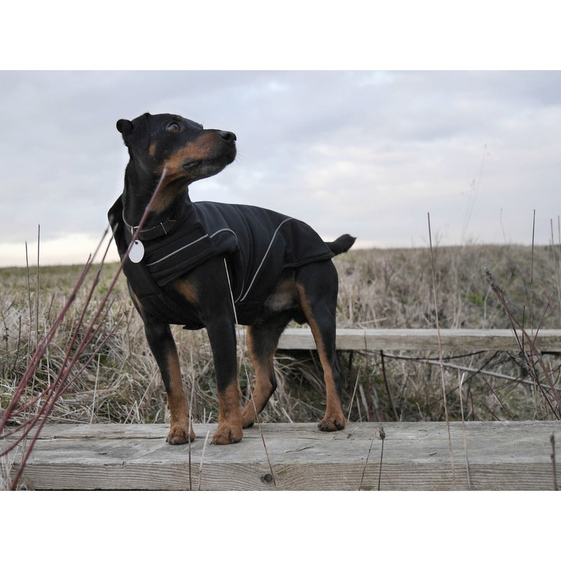 DogBite Hunde Softshell Jacke