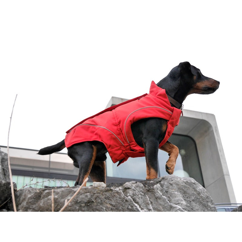 DogBite Hunde Softshell Jacke