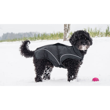 DogBite Hunde Winterjacke Matt