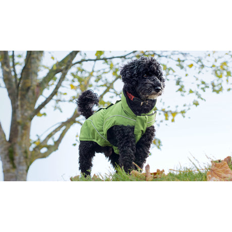 DogBite Hunde Winterjacke Matt