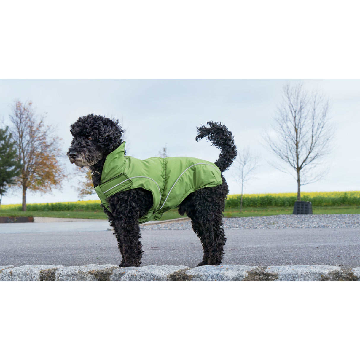 DogBite Hunde Winterjacke Matt