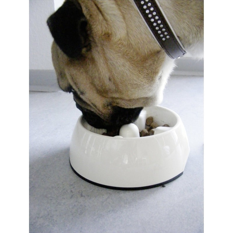Dogit Go Slow Hunde Antischling Napf