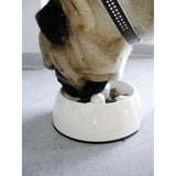 Dogit Go Slow Hunde Antischling Napf