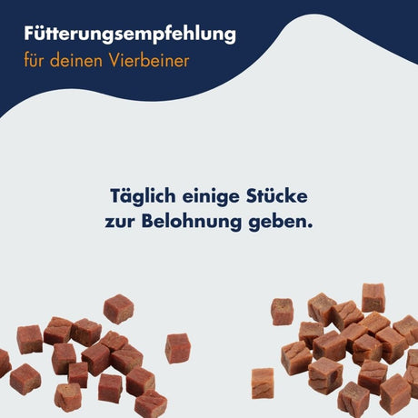 Trainer Snack BigBox Mix