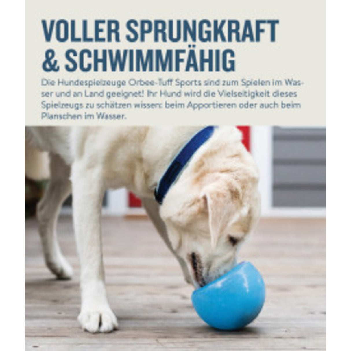 Orbee-Tuff Snoop Ø ca. 12,5 cm Interaktives Snackspielzeug – HELLBLAU
