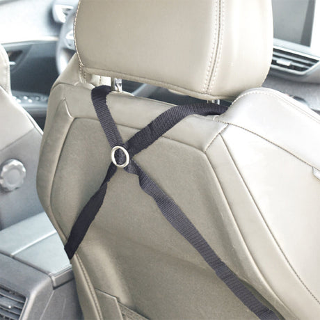 Autositz, Autokorb für Hunde Isofix
