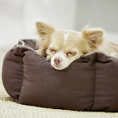 Eco Well Hundebett und Katzenbett
