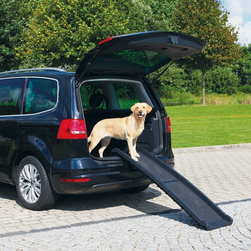 Klappbare Autorampe für Hunde