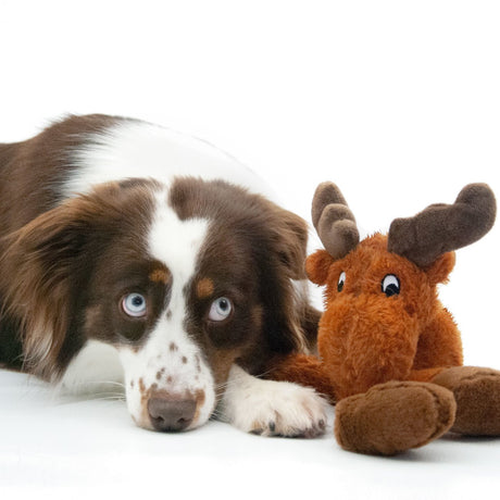Elch Hundespielzeug aus Plüsch