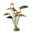 Exo Terra -  Regenwald Bodenpflanzen – Flamingoblume - 6,5 x 29,0 x 5,0 cm