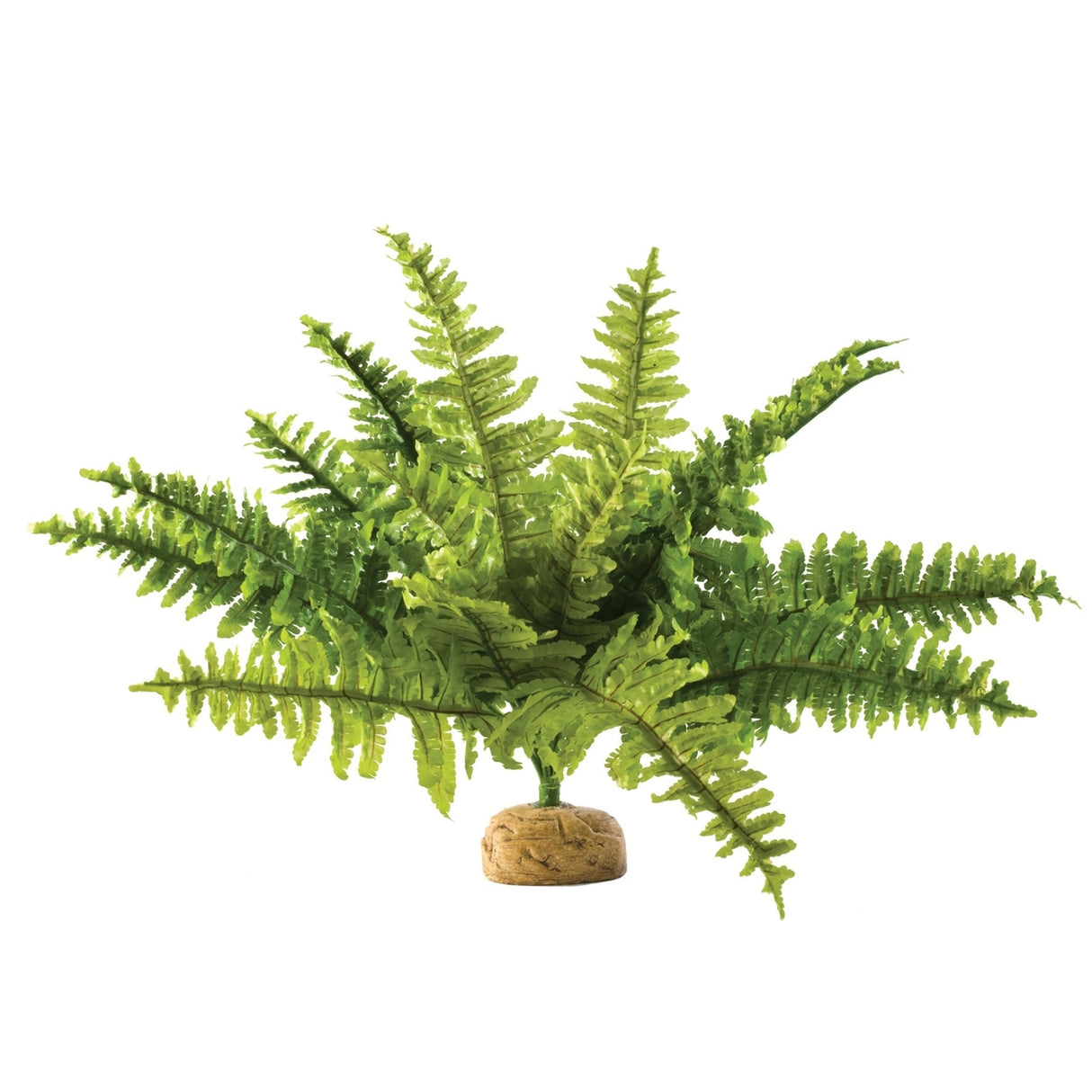 Exo Terra -  Regenwald Bodenpflanzen – Farn  Gr.S - 6,5 x 21,0 x 5,0 cm