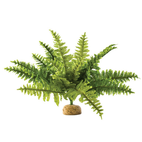 Exo Terra -  Regenwald Bodenpflanzen – Farn  Gr.S - 6,5 x 21,0 x 5,0 cm