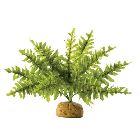 Exo Terra -  Regenwald Bodenpflanzen – Farn  Gr.M - 9 x 29 x 9 cm