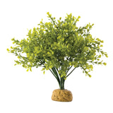 Exo Terra -  Regenwald Bodenpflanzen – Buchsbaum - 15,0 x 28,0 x 15,0 cm