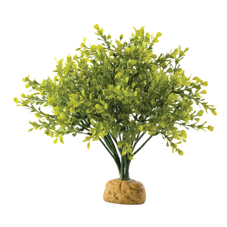 Exo Terra -  Regenwald Bodenpflanzen – Buchsbaum - 15,0 x 28,0 x 15,0 cm