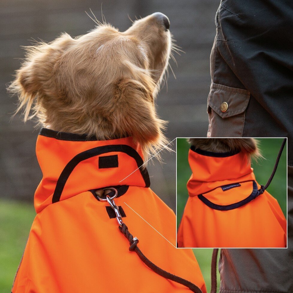 fit4dogs Active Cape Wind & Rain Mini