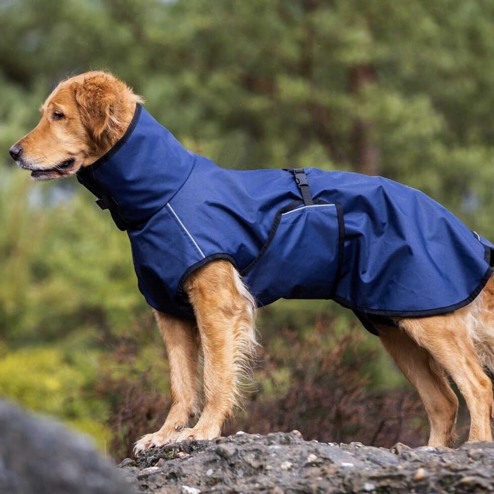 fit4dogs Active Cape Wind & Rain Mini