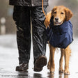 fit4dogs Active Cape Wind & Rain Mini