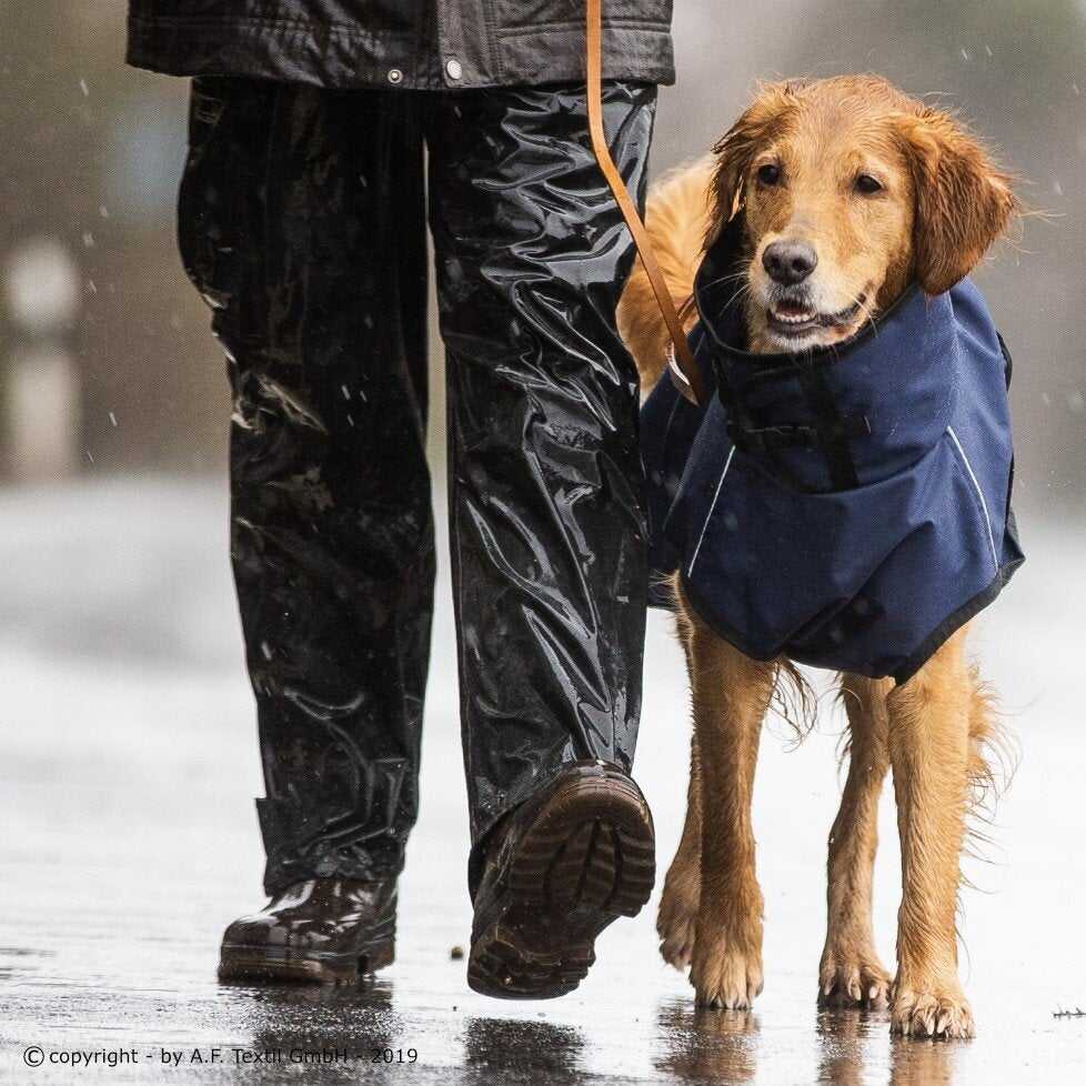 fit4dogs Active Cape Wind & Rain Mini