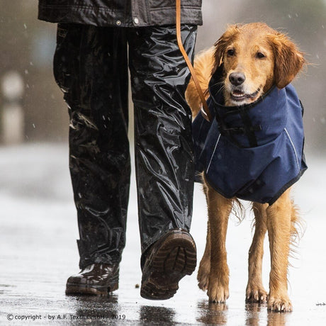fit4dogs Active Cape Wind & Rain Mini