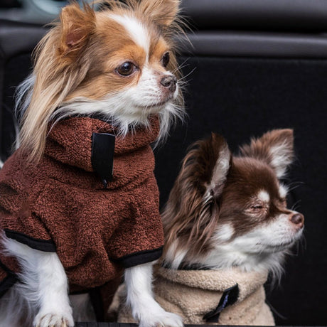 fit4dogs Dryup Cape Nano Trockenmantel für Hunde