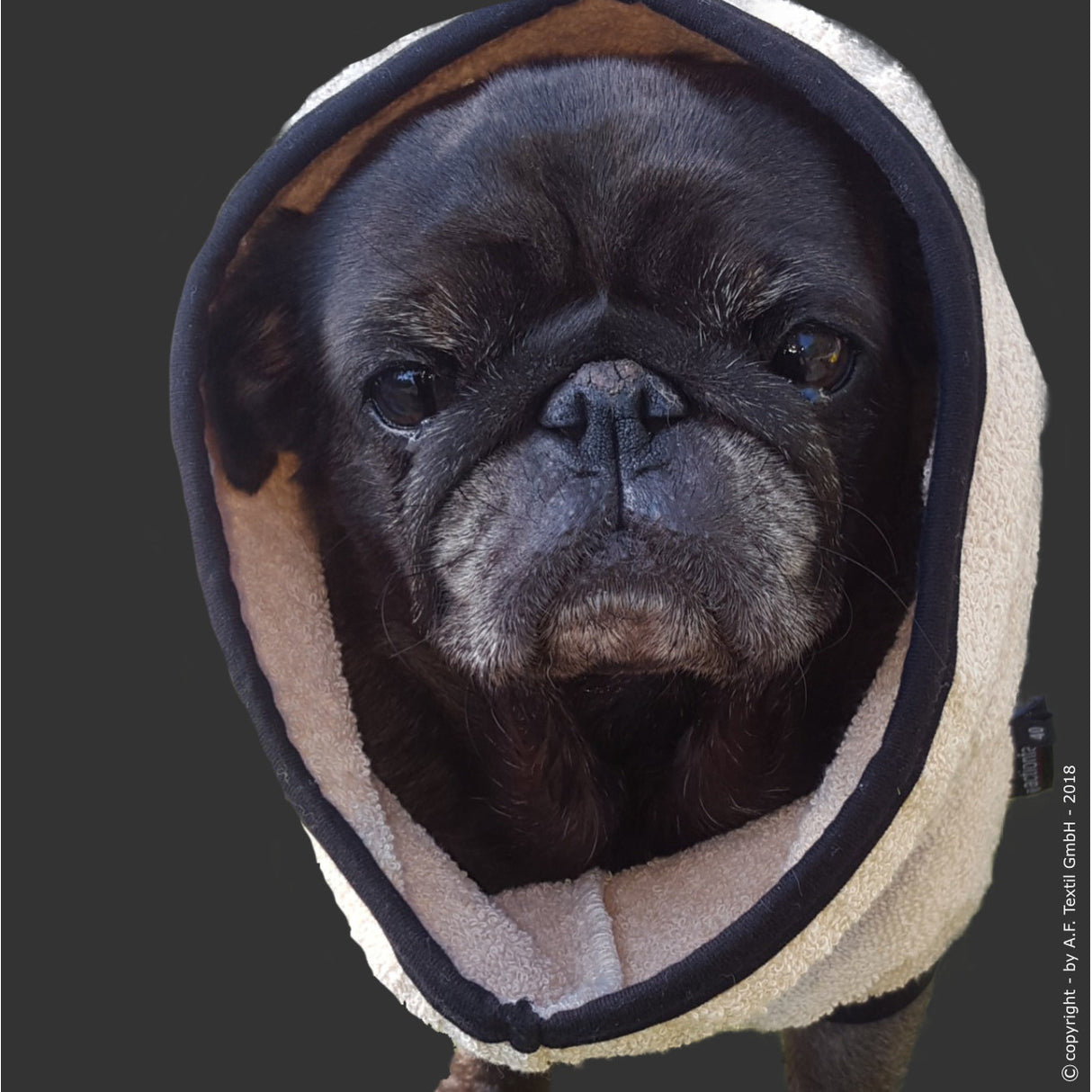 fit4dogs DryUp Cape Trockenmantel für Mops und Co