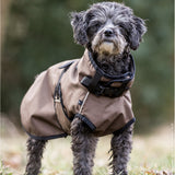 fit4dogs Active Cape Light MINI Hundemantel