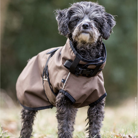 fit4dogs Active Cape Light MINI Hundemantel