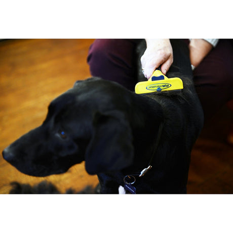 FURminator Hund Kurzhaar