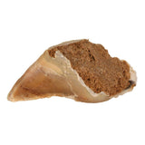 Gefüllte Kauhufe für Hunde – Fleischpastete, 115 g