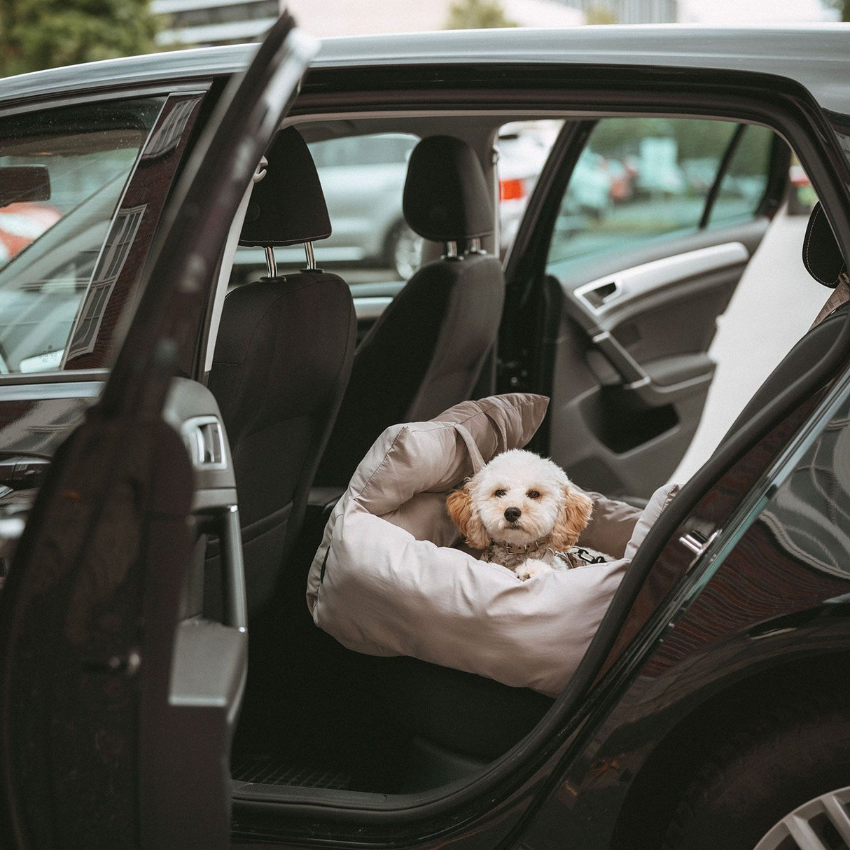 2-in-1 Autositz Seoul