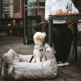 2-in-1 Autositz Seoul