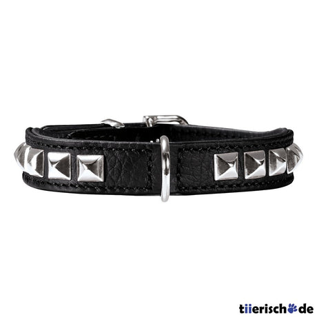 Halsband Rocky Petit für kleine Hunde