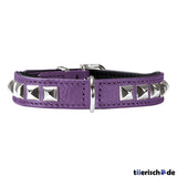 Halsband Rocky Petit für kleine Hunde