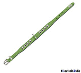 Halsband Rocky Petit für kleine Hunde