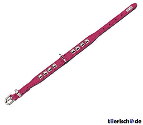 Halsband Rocky Petit für kleine Hunde
