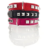 Halsband Rocky Petit für kleine Hunde