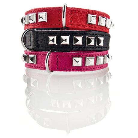 Halsband Rocky Petit für kleine Hunde