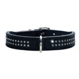 Halsband Swarowski Diamond Petit für kleine Hunde