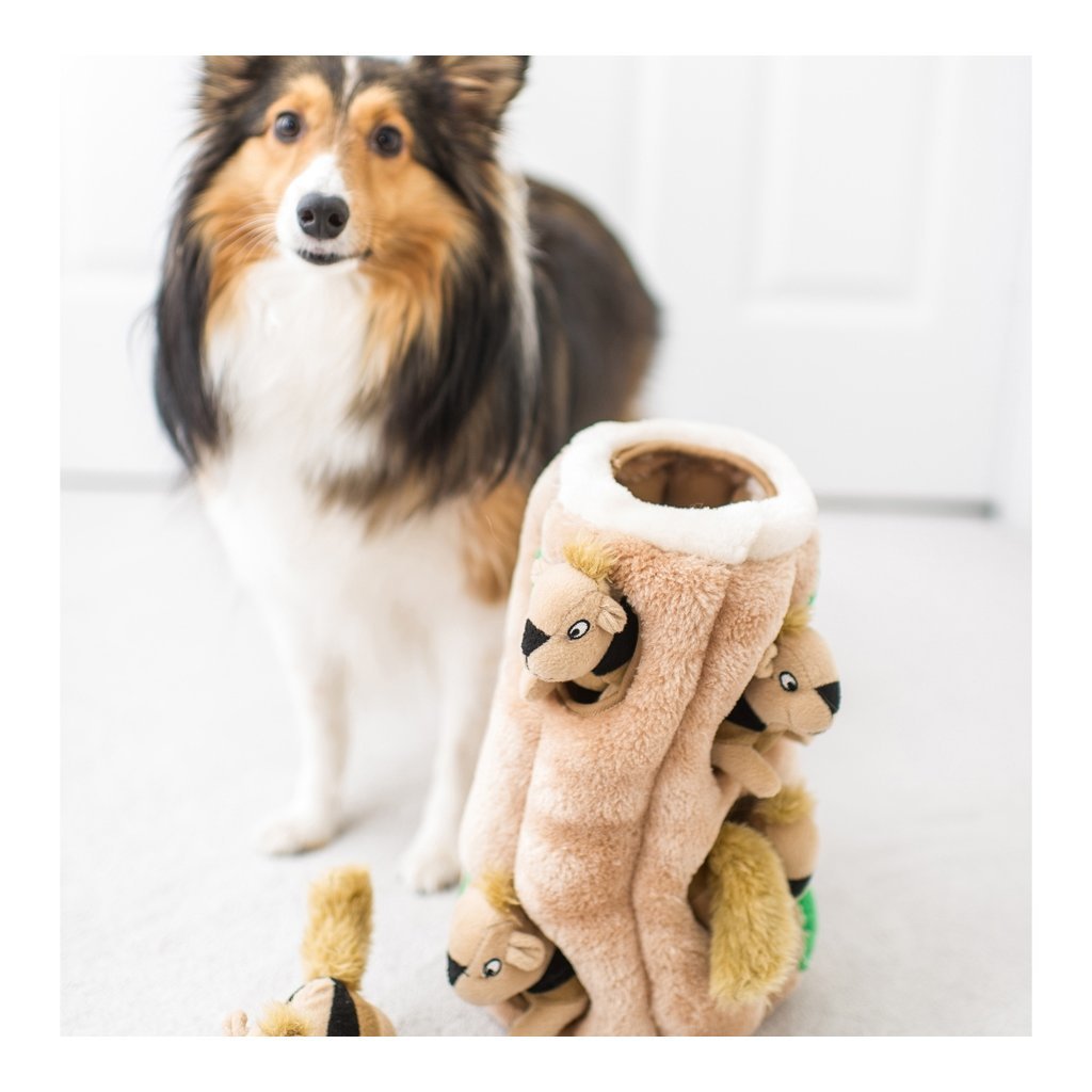 Hide-A-Squirrel Hundespielzeug