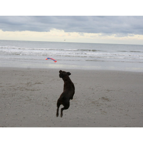 Chuckit! Flying Squirrel