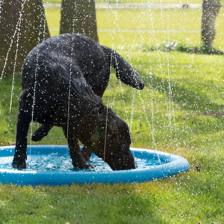 CoolPets Splash Pool Water Sprinkler